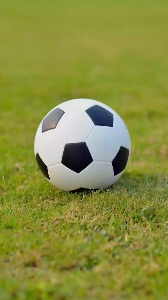 用户使用足彩比分500彩票网的好评反馈